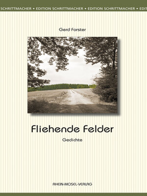cover image of Fliehende Felder